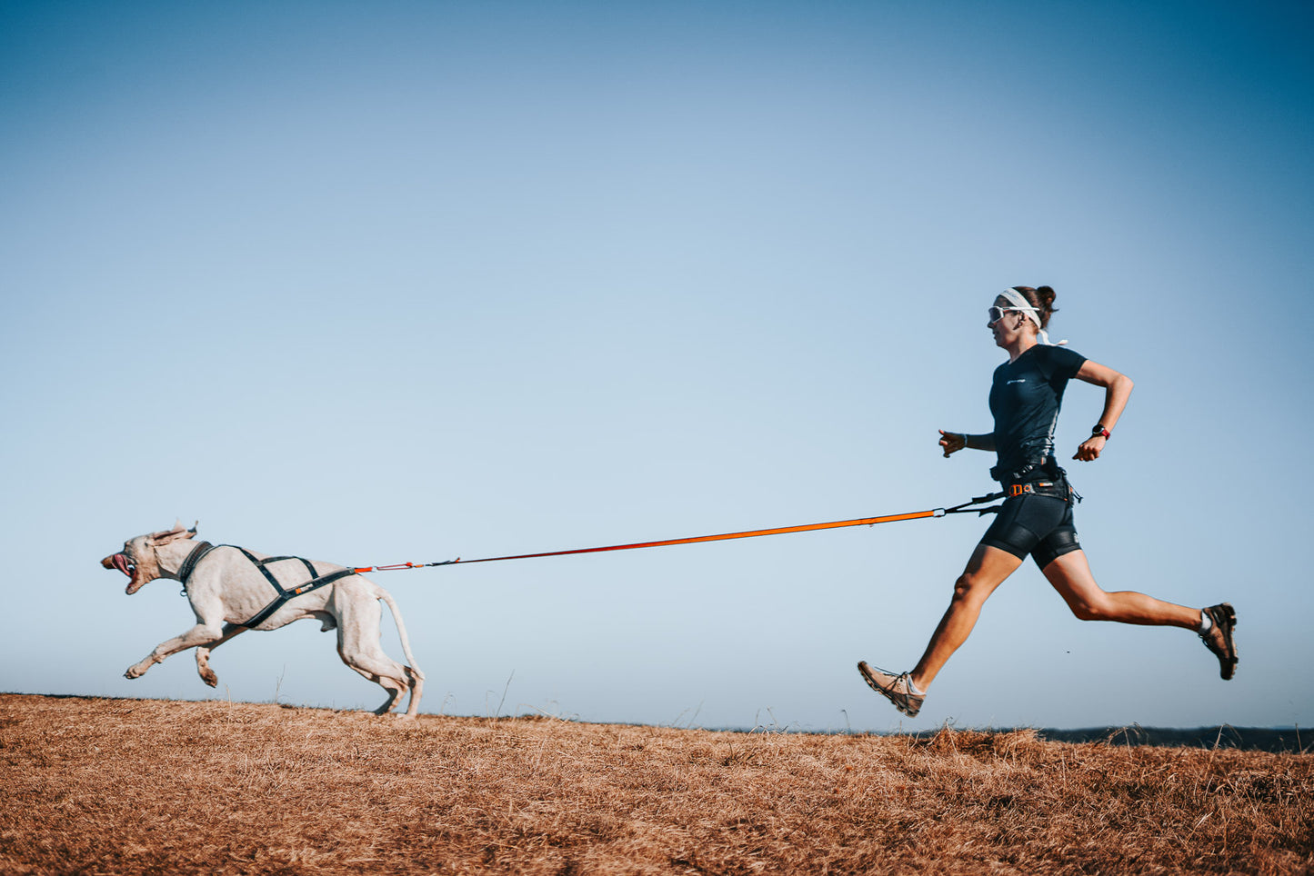 CaniX short tights women's (3)