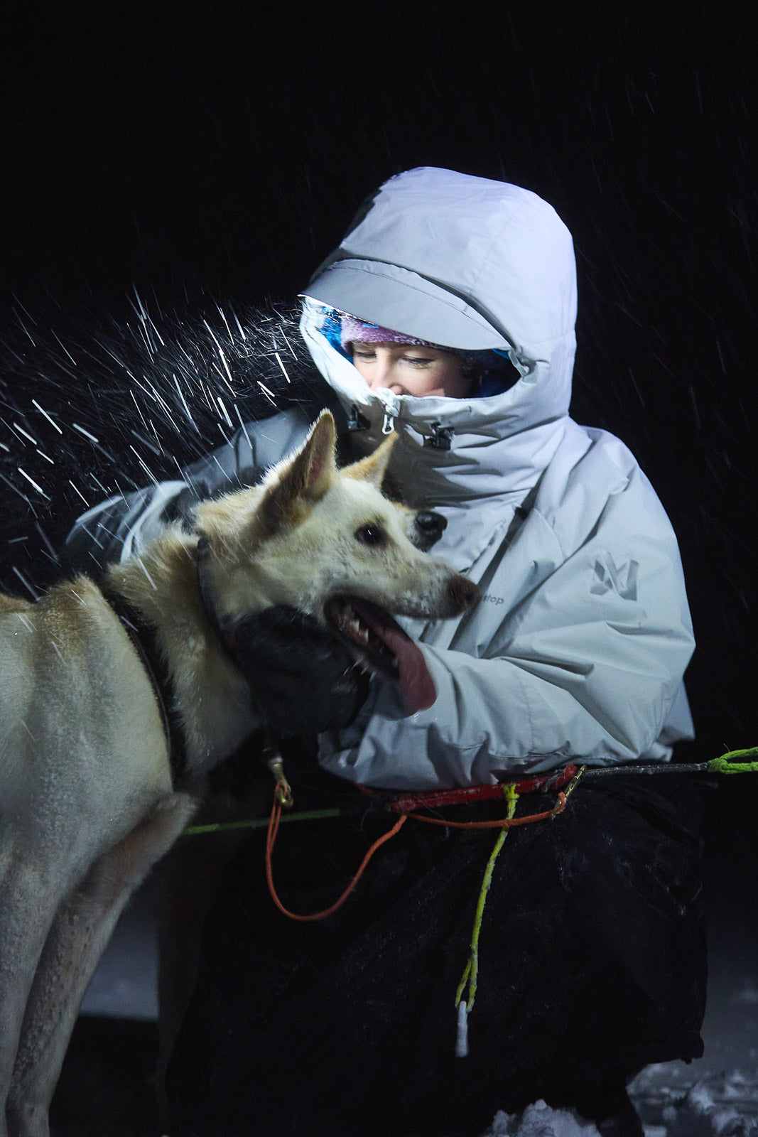 Tundra anojakka 2.0 (4)