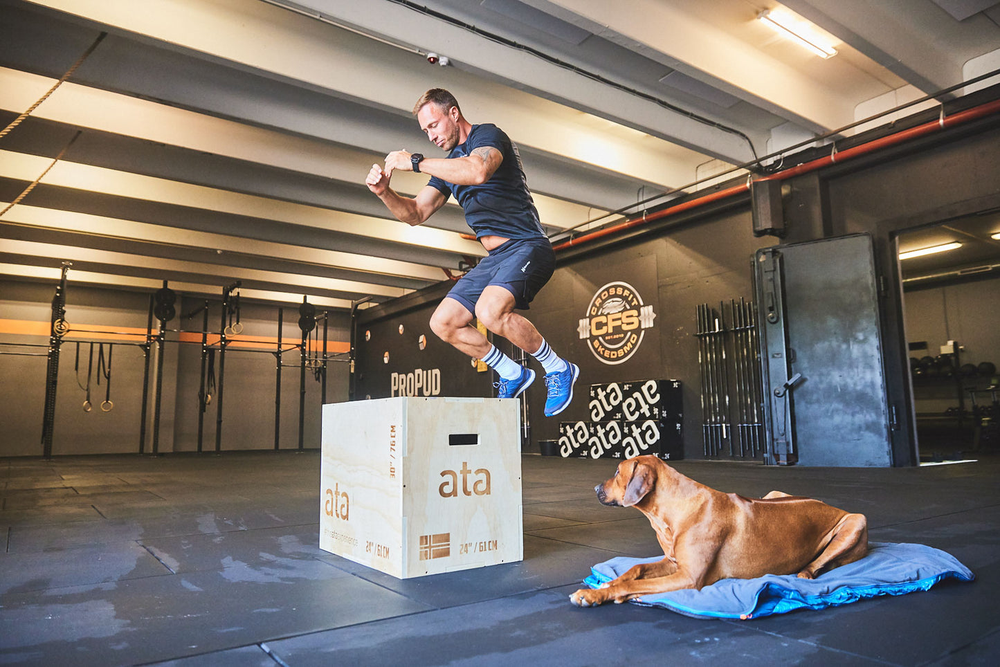 CaniX twin shorts men's (6)