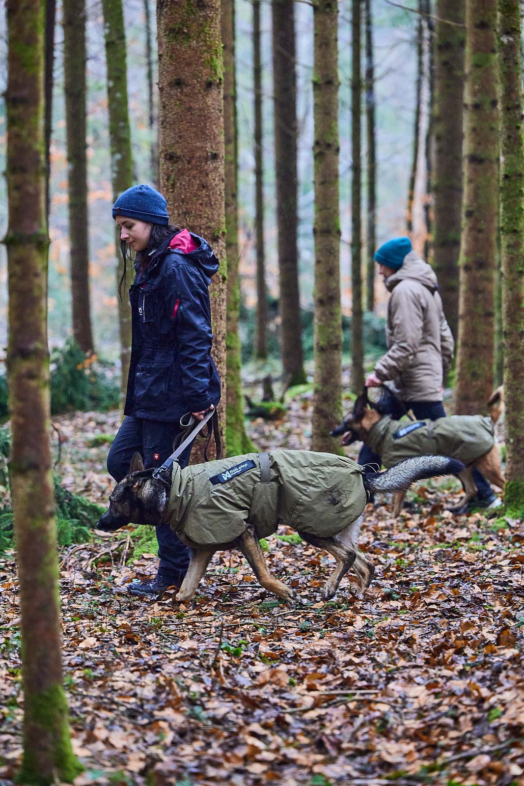 Glacier dog jacket WD (1)