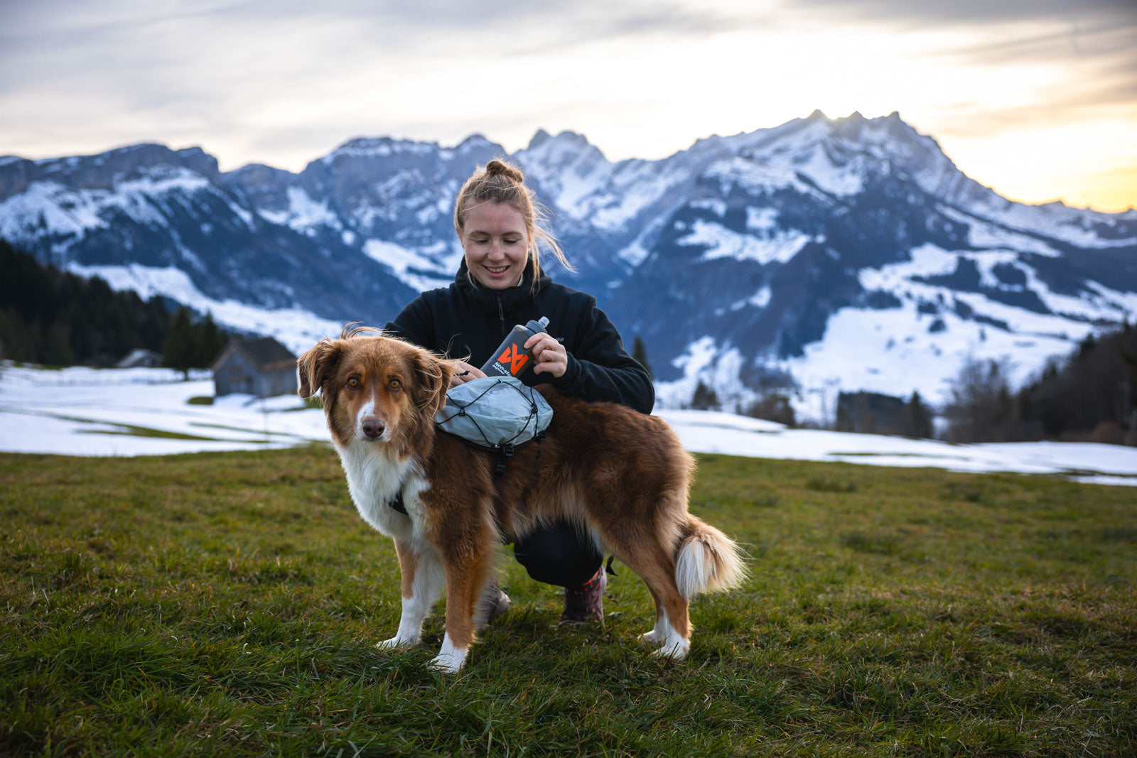 Trail light dog backpack (4)