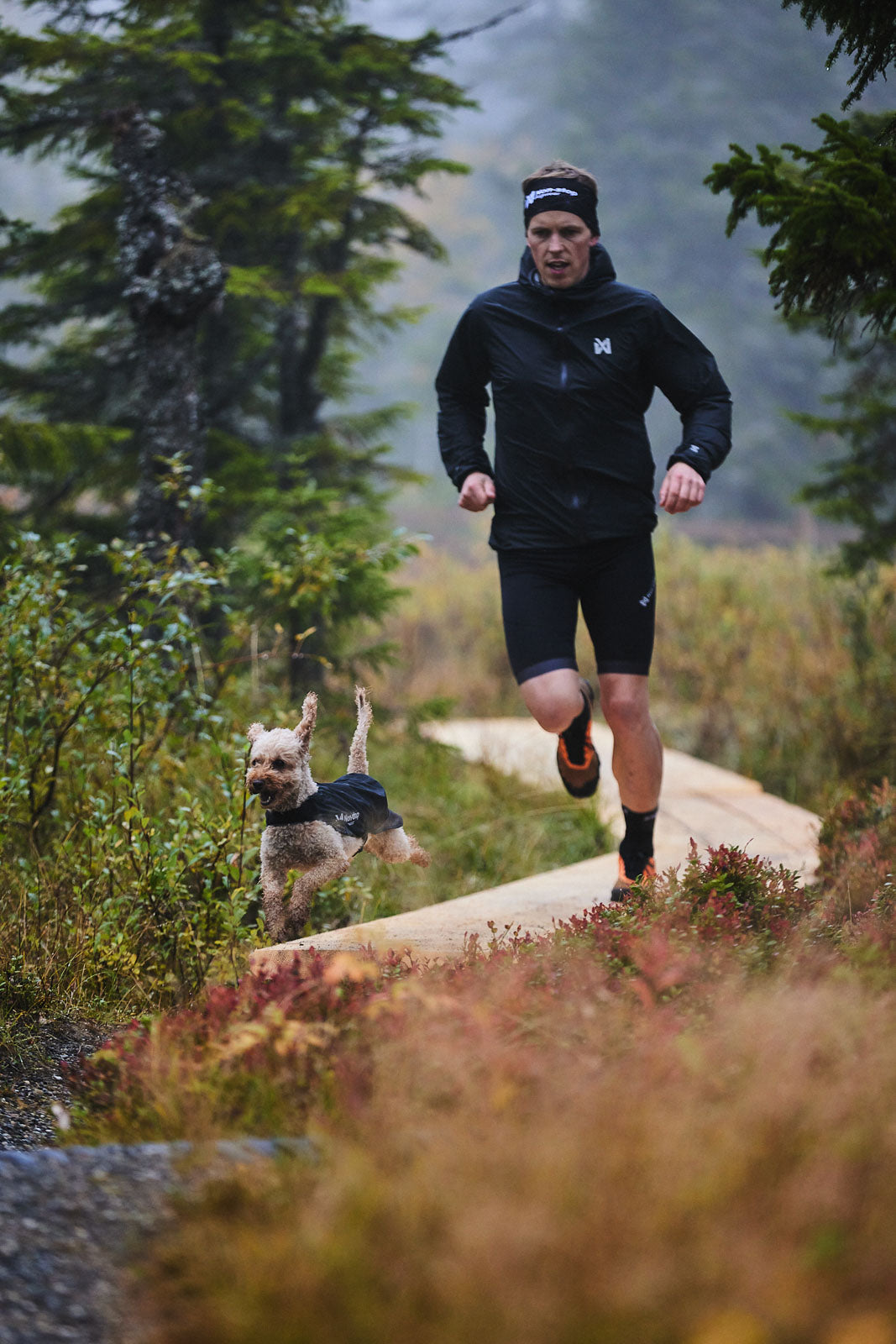 Trail light dog jacket (2)